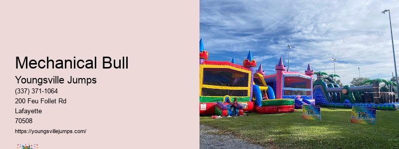 Birthday Party Rentals